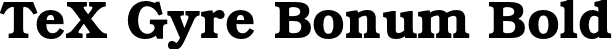 TeX Gyre Bonum Bold font | texgyrebonum-bold.otf