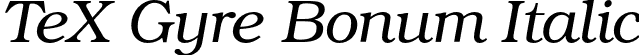 TeX Gyre Bonum Italic font | texgyrebonum-italic.otf