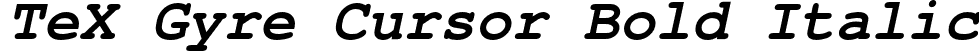 TeX Gyre Cursor Bold Italic font | texgyrecursor-bolditalic.otf