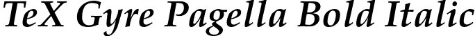 TeX Gyre Pagella Bold Italic font | texgyrepagella-bolditalic.otf