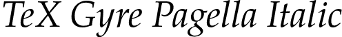 TeX Gyre Pagella Italic font | texgyrepagella-italic.otf