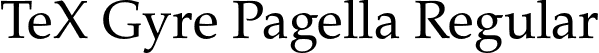 TeX Gyre Pagella Regular font | texgyrepagella-regular.otf