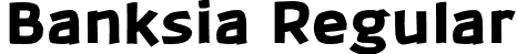 Banksia Regular font | Banksia-Black.otf