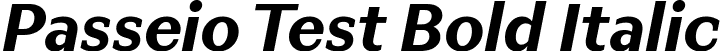 Passeio Test Bold Italic font | PasseioTest-BoldItalic.ttf