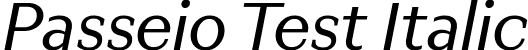 Passeio Test Italic font | PasseioTest-Italic.ttf