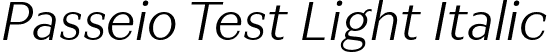 Passeio Test Light Italic font | PasseioTest-LightItalic.ttf