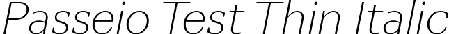 Passeio Test Thin Italic font | PasseioTest-ThinItalic.ttf