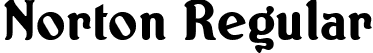 Norton Regular font | NORTON__.TTF