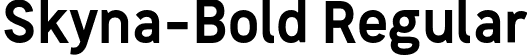 Skyna-Bold Regular font | Skyna-Bold.otf
