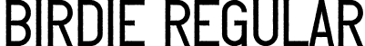 Birdie Regular font | Birdie.otf