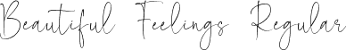 Beautiful Feelings Regular font | Beautiful Feelings.ttf