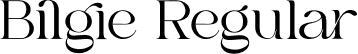 Bilgie Regular font | bilgie.otf