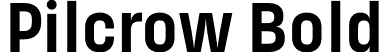 Pilcrow Bold font | Pilcrow-Bold.otf