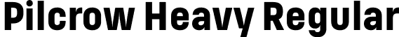 Pilcrow Heavy Regular font | Pilcrow-Heavy.otf