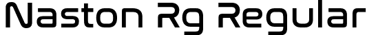 Naston Rg Regular font | naston-regular.ttf