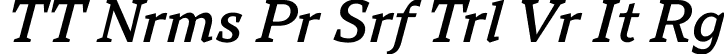 TT Nrms Pr Srf Trl Vr It Rg font | TT-Norms-Pro-Serif-Trial-Var-Italic.ttf