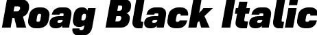 Roag Black Italic font | Roag-BlackItalic.otf