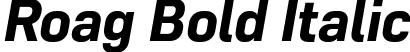 Roag Bold Italic font | Roag-BoldItalic.otf