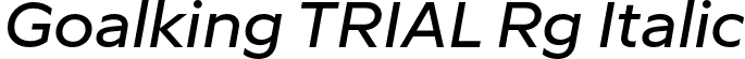 Goalking TRIAL Rg Italic font | Goalking_TRIAL-RgIt.otf