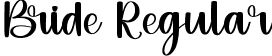 Bride Regular font | Bride.ttf