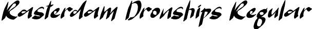 Rasterdam Dronships Regular font | Rasterdam-Dronships.otf