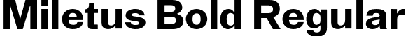 Miletus Bold Regular font | MiletusGroteskTrial-Bold.otf