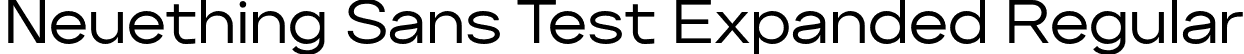 Neuething Sans Test Expanded Regular font | NeuethingVariableTest-RegularExpanded.otf
