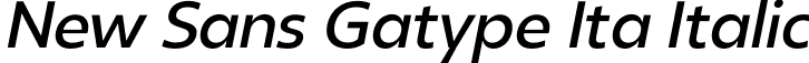 New Sans Gatype Ita Italic font | Revolin-Italic.otf