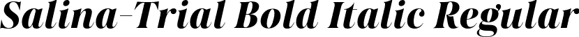 Salina-Trial Bold Italic Regular font | Salina-Trial-BoldItalic.otf