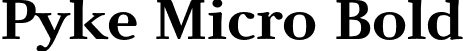 Pyke Micro Bold font | PykeMicro-Bold.otf