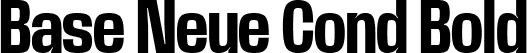 Base Neue Cond Bold font | BaseNeueTrial-CondensedBold-BF63d645e3507ef.ttf