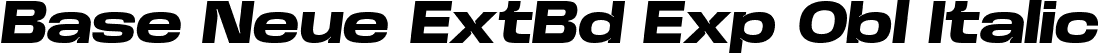 Base Neue ExtBd Exp Obl Italic font | BaseNeueTrial-ExpExtBdObliq-BF63d645de739da.ttf