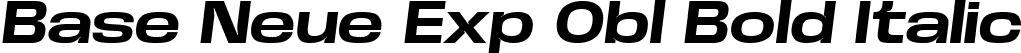 Base Neue Exp Obl Bold Italic font | BaseNeueTrial-ExpBoldObliq-BF63d645e355e88.ttf