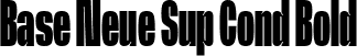 Base Neue Sup Cond Bold font | BaseNeueTrial-SuperCondBold-BF63d645fea9a5e.ttf