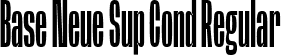 Base Neue Sup Cond Regular font | BaseNeueTrial-SuperCond-BF63d645e4527f9.ttf