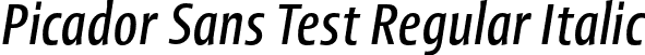 Picador Sans Test Regular Italic font | PicadorSansTest-RegularItalic-uploaded-63b6417d1c078.otf