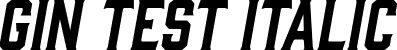 Gin Test Italic font | GinTest-Oblique.otf