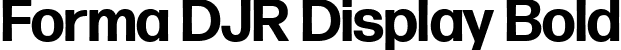Forma DJR Display Bold font | FormaDJRDisplay-Bold-Testing.ttf