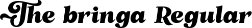 The bringa Regular font | TheBringaRegular-axjnm.ttf