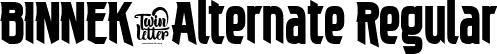 BINNEK-Alternate Regular font | BINNEK-BINNEK-Alternate.ttf