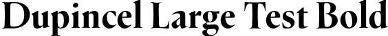 Dupincel Large Test Bold font | DupincelLargeTest-Bold.otf