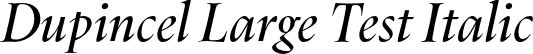 Dupincel Large Test Italic font | DupincelLargeTest-RegularItalic.otf