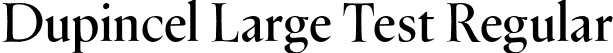 Dupincel Large Test Regular font | DupincelLargeTest-Regular.otf