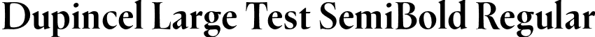 Dupincel Large Test SemiBold Regular font | DupincelLargeTest-SemiBold.otf