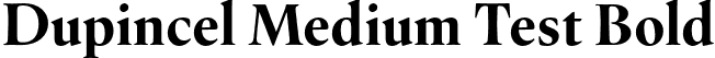 Dupincel Medium Test Bold font | DupincelMediumTest-Bold.otf