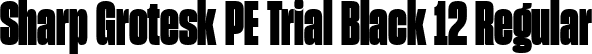 Sharp Grotesk PE Trial Black 12 Regular font | SharpGroteskPETrialBlack-12.ttf