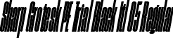 Sharp Grotesk PE Trial Black Itl 05 Regular font | SharpGroteskPETrialBlackItl-05.ttf