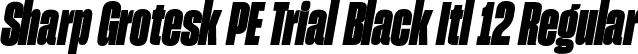 Sharp Grotesk PE Trial Black Itl 12 Regular font | SharpGroteskPETrialBlackItl-12.otf