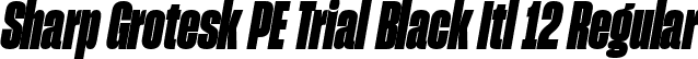 Sharp Grotesk PE Trial Black Itl 12 Regular font | SharpGroteskPETrialBlackItl-12.ttf