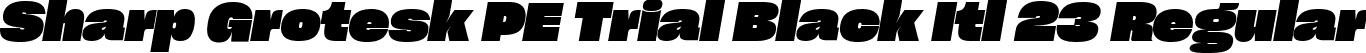 Sharp Grotesk PE Trial Black Itl 23 Regular font | SharpGroteskPETrialBlackItl-23.ttf